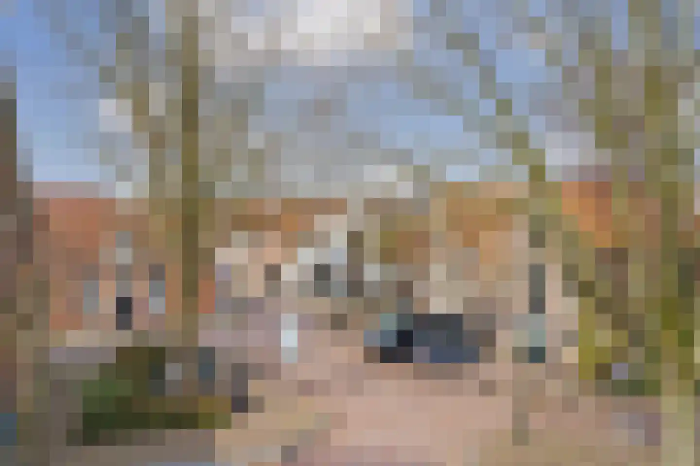 Torenstraat 6 Enkhuizen thumbnail 4