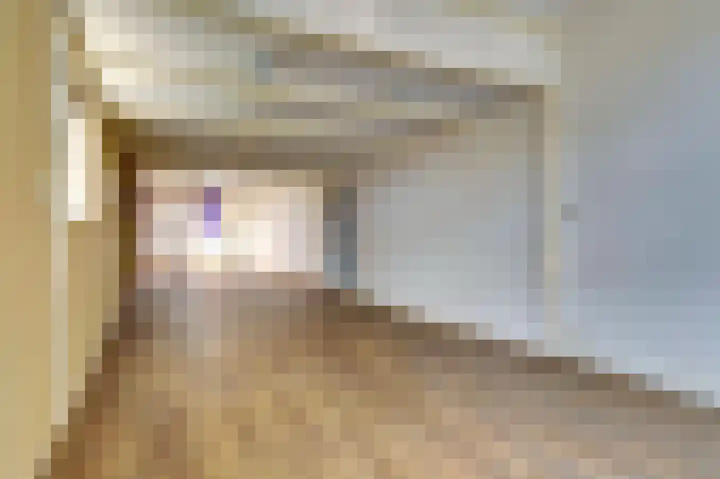 Torenstraat 6 Enkhuizen thumbnail 7