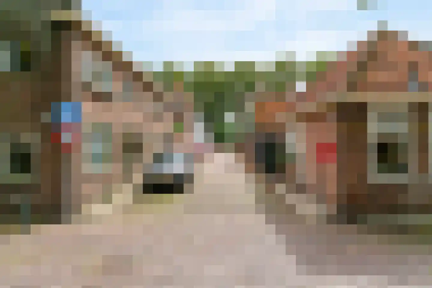 Torenstraat 6 Medemblik thumbnail 43