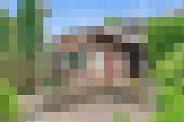 Torenstraat 6 Oirsbeek thumbnail 17