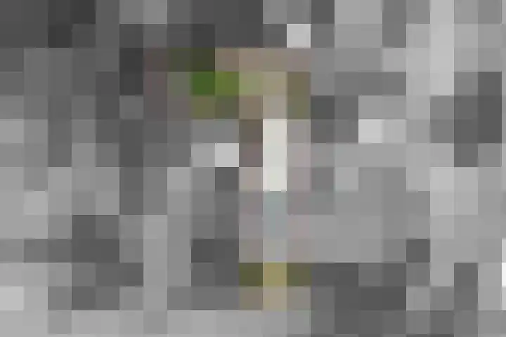 Torenstraat 6 Oirsbeek thumbnail 30