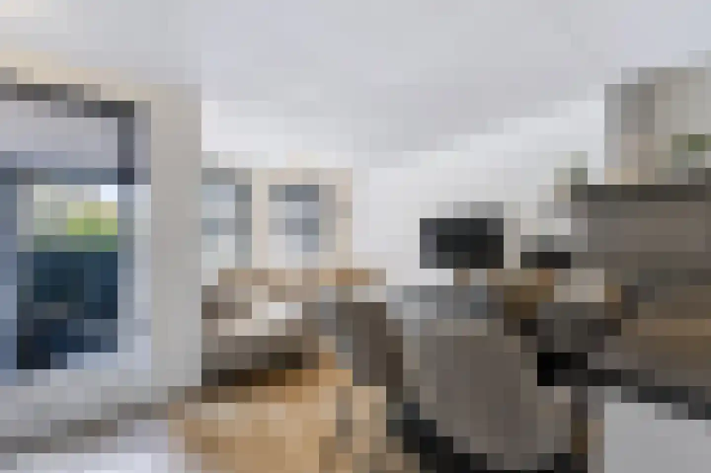Torenstraat 6 Spijkenisse thumbnail 18