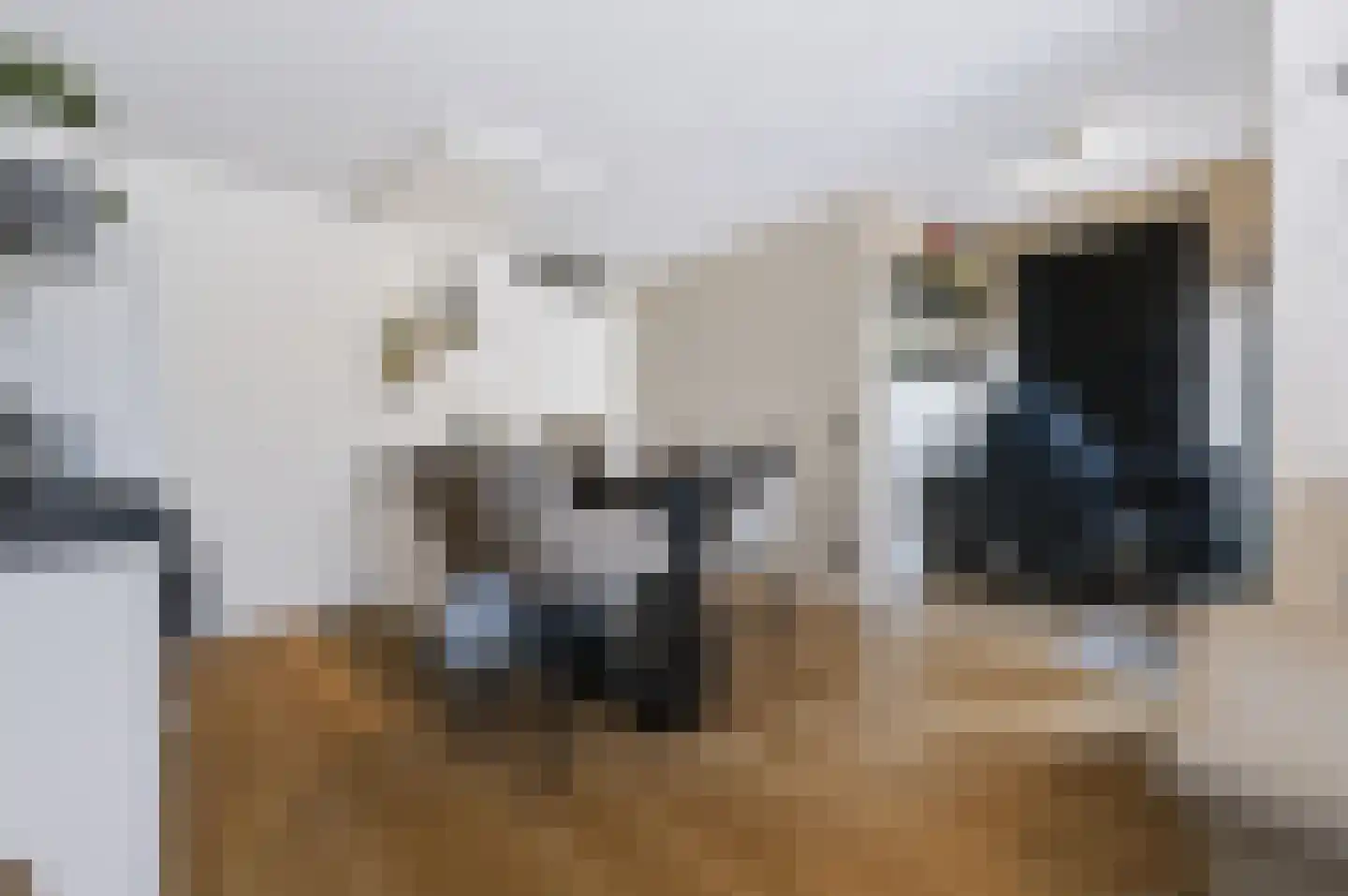 Torenstraat 6 Spijkenisse thumbnail 21