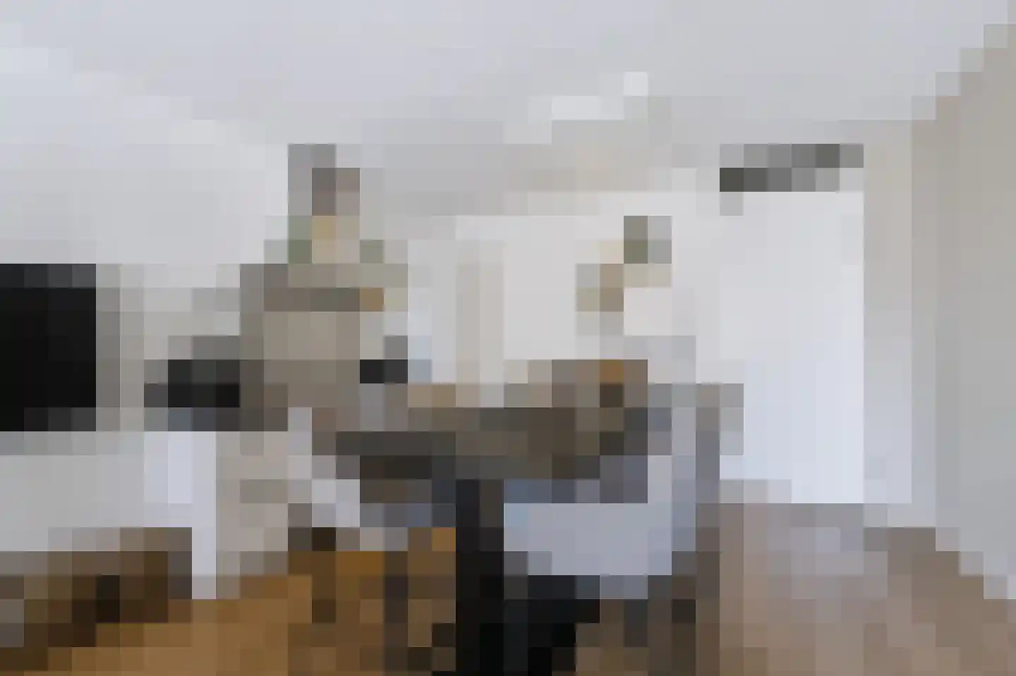 Torenstraat 6 Spijkenisse thumbnail 22