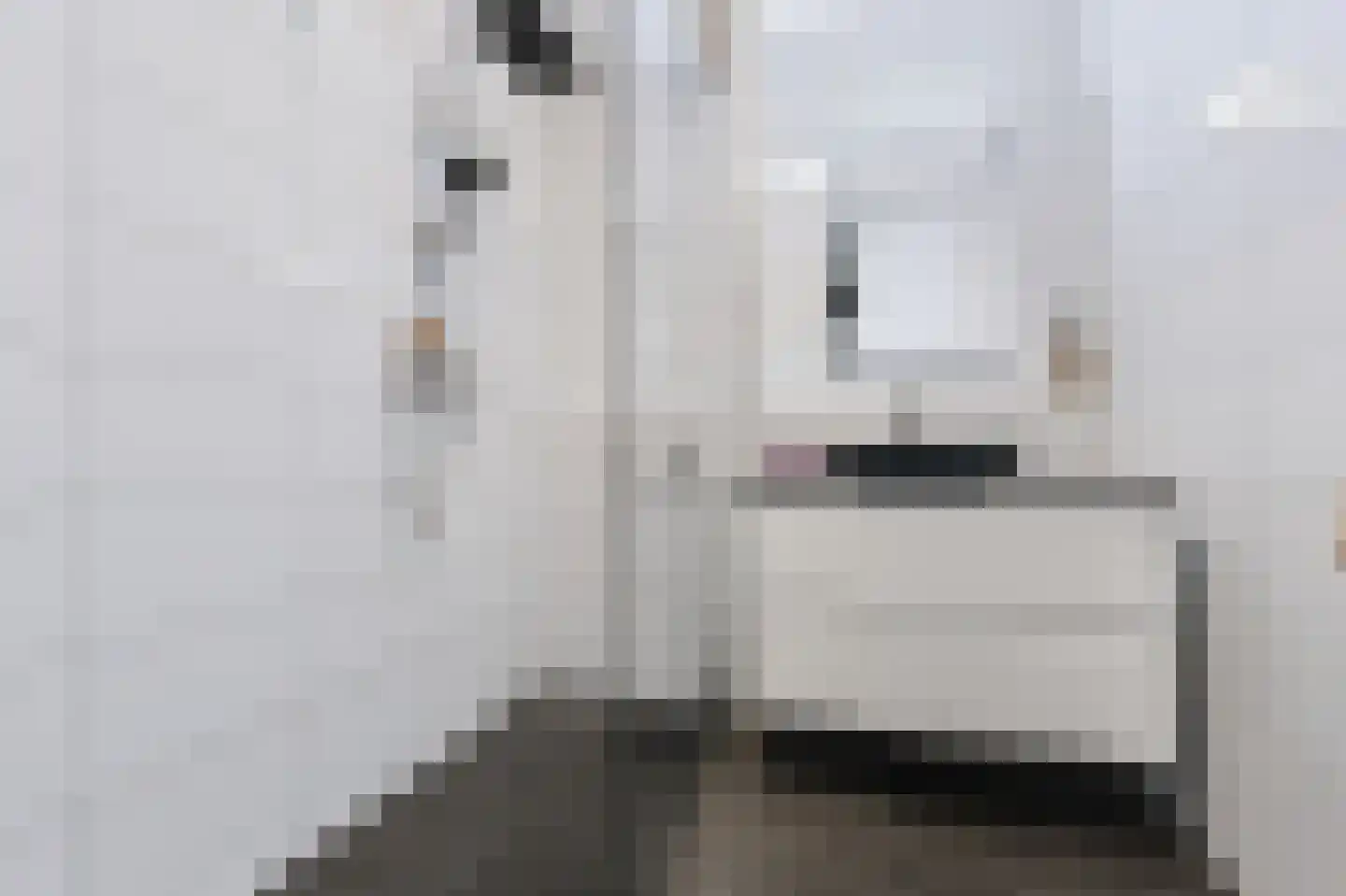 Torenstraat 6 Spijkenisse thumbnail 23