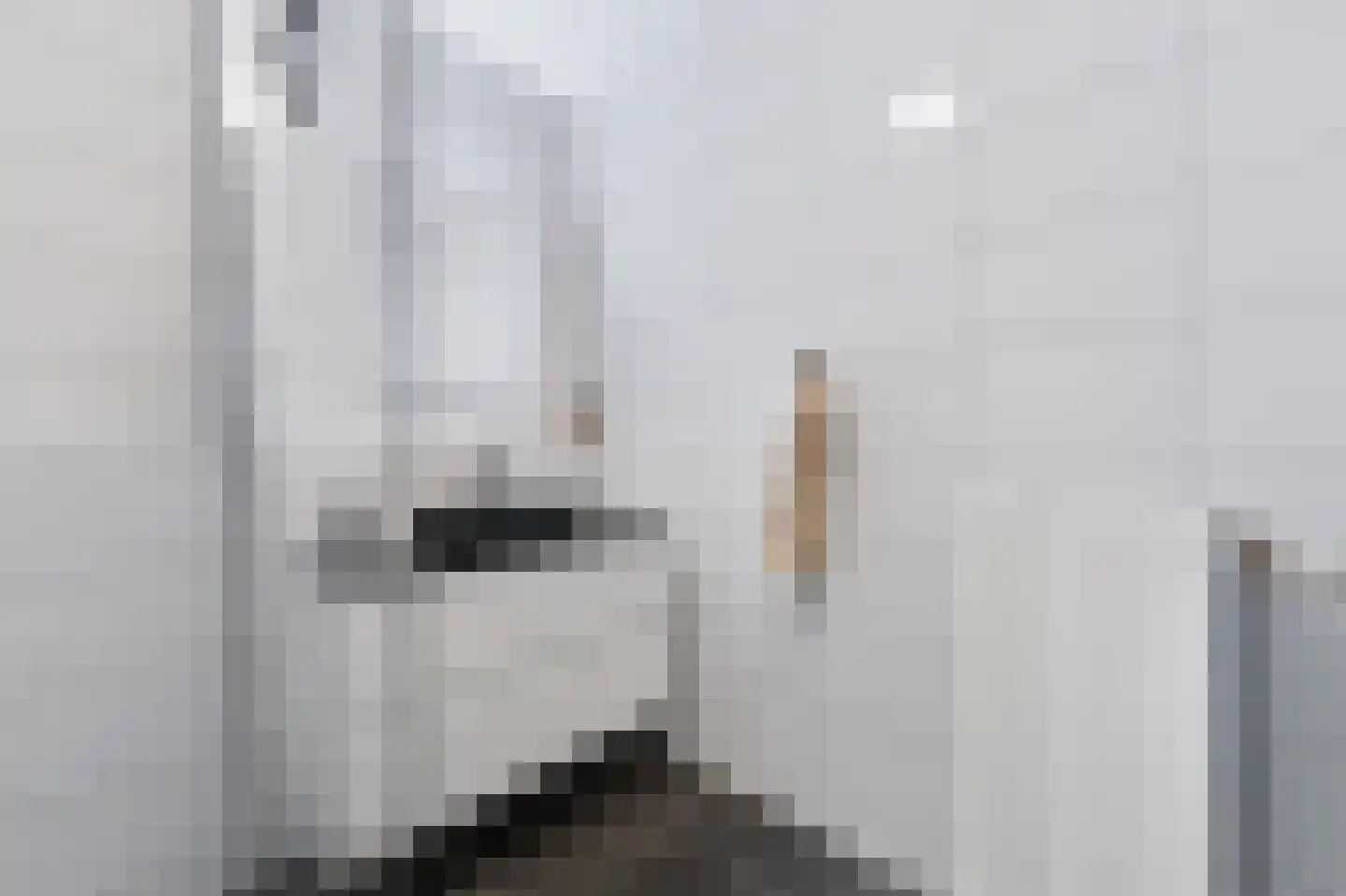 Torenstraat 6 Spijkenisse thumbnail 24