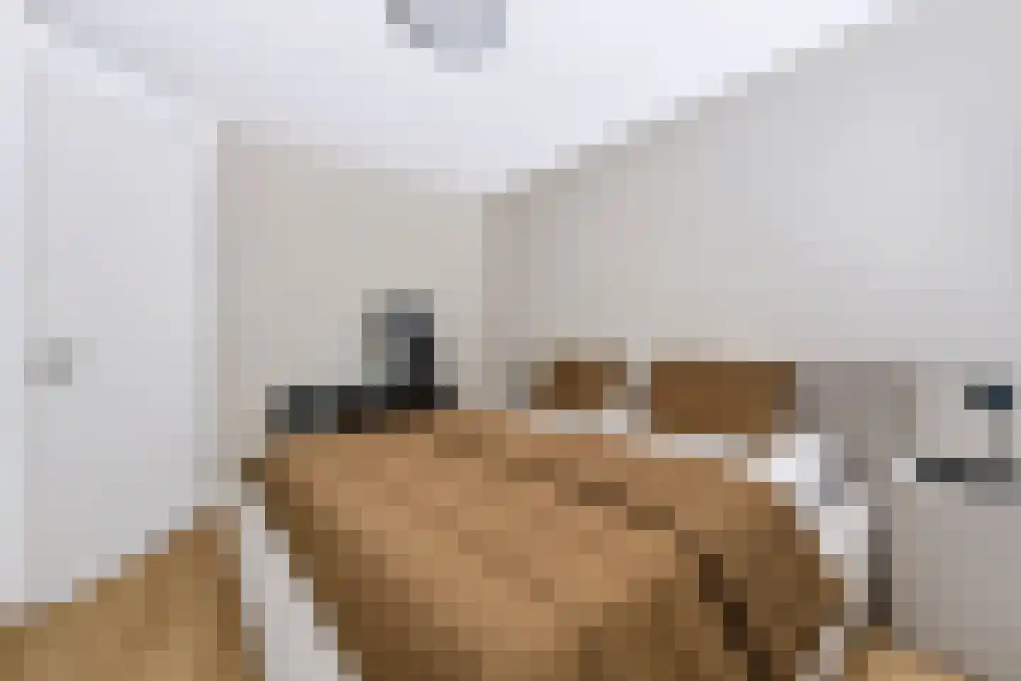 Torenstraat 6 Spijkenisse thumbnail 25