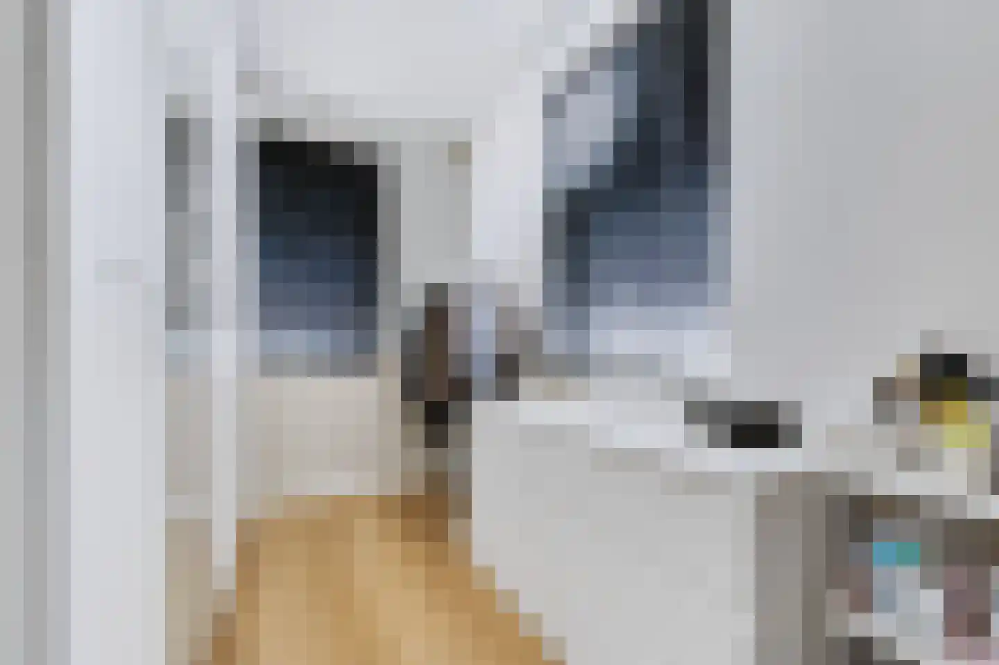 Torenstraat 6 Spijkenisse thumbnail 26
