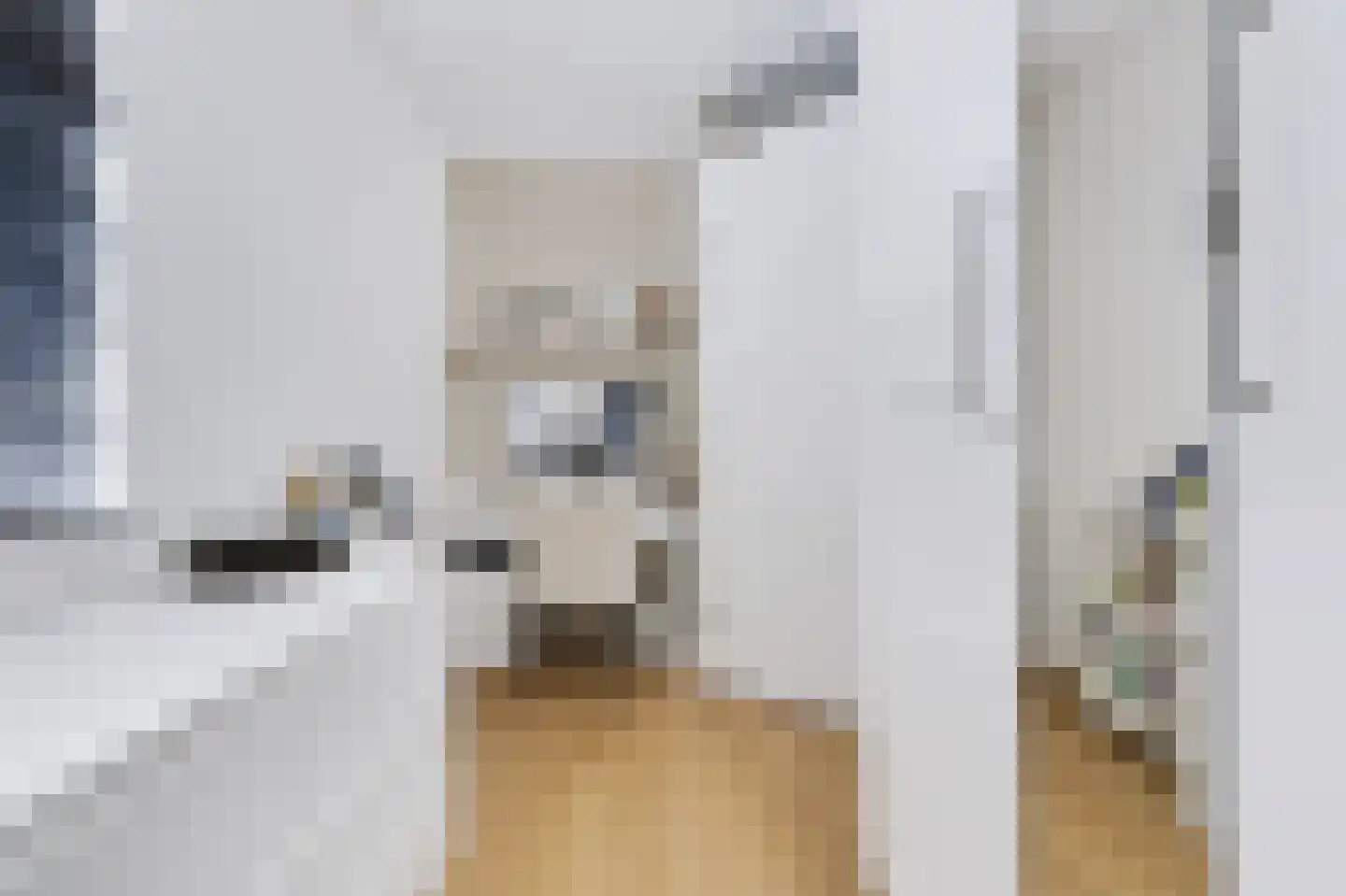 Torenstraat 6 Spijkenisse thumbnail 28