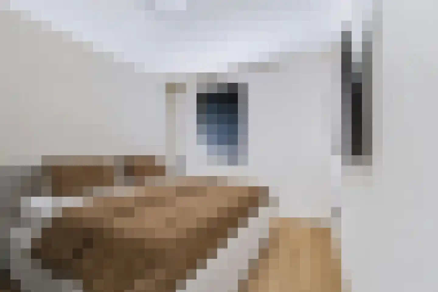 Torenstraat 6 Spijkenisse thumbnail 6