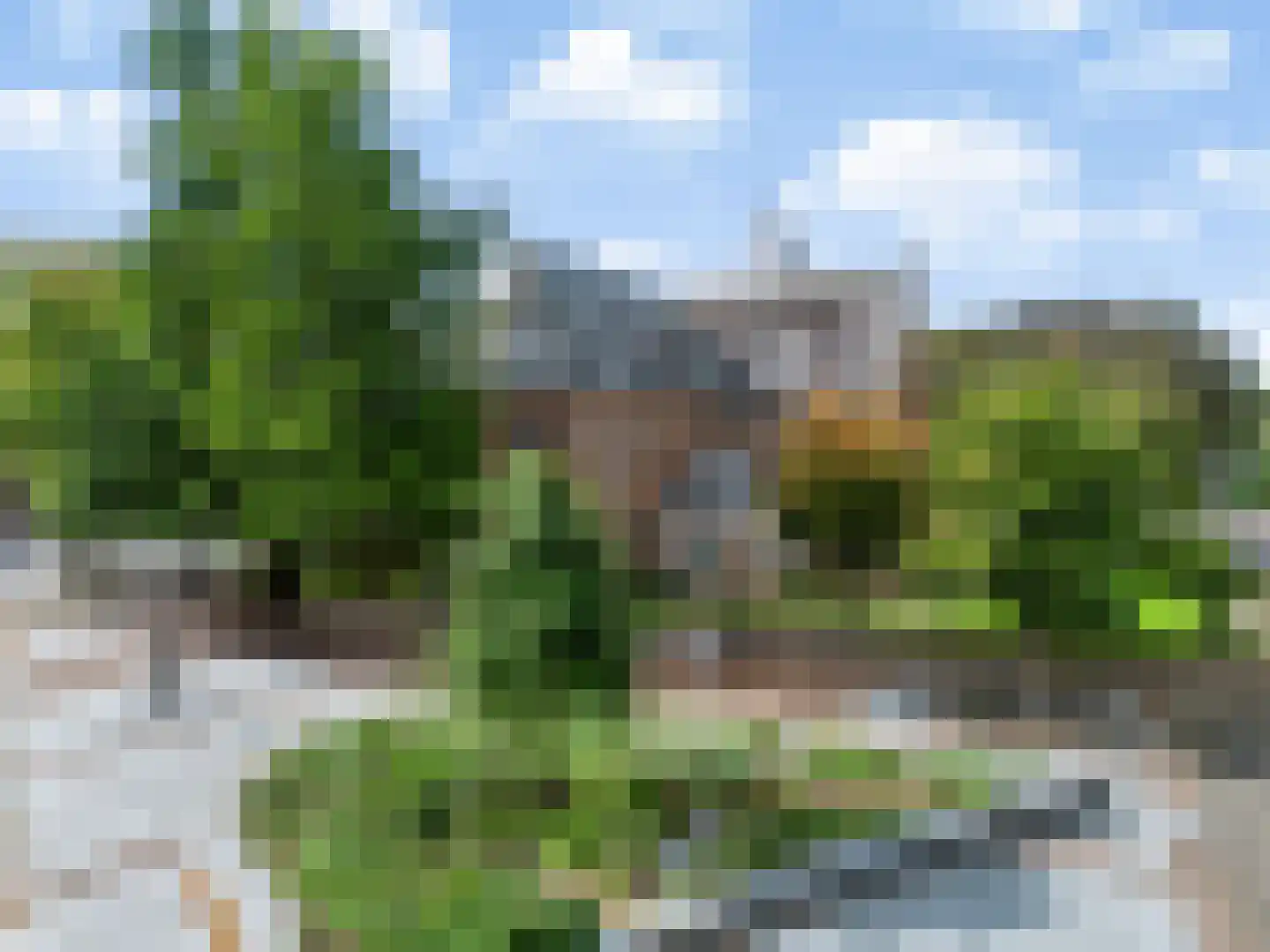 Torenstraat 6 Spijkenisse thumbnail 8