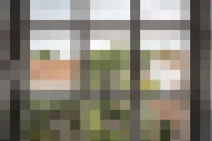 Torenstraat 6 Velsen-Zuid thumbnail 22