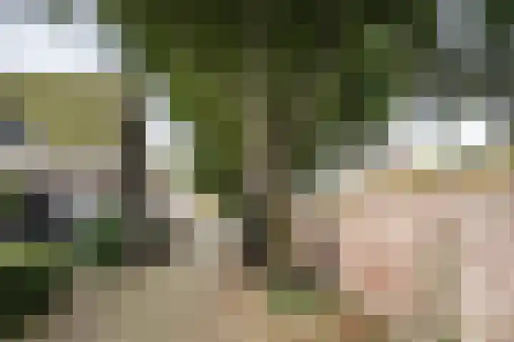 Torenstraat 6 Velsen-Zuid thumbnail 30
