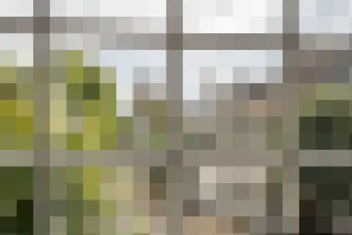 Torenstraat 6 Velsen-Zuid thumbnail 4