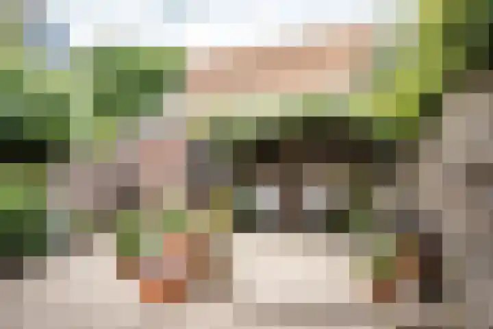 Torenstraat 6 Velsen-Zuid thumbnail 9