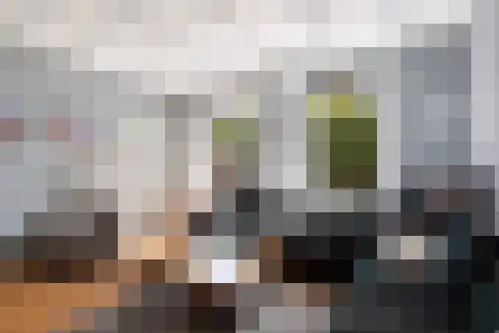 Torenstraat 62 Numansdorp thumbnail 11