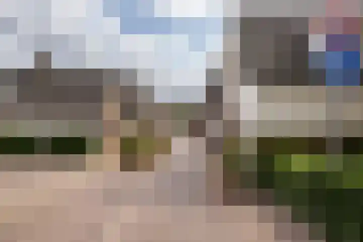 Torenstraat 62 Numansdorp thumbnail 30