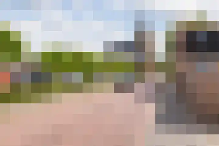 Torenstraat 62 Numansdorp thumbnail 33