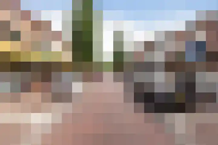 Torenstraat 62 Numansdorp thumbnail 34