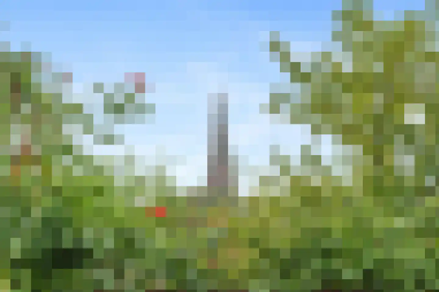 Torenstraat 66 Wildervank thumbnail 31