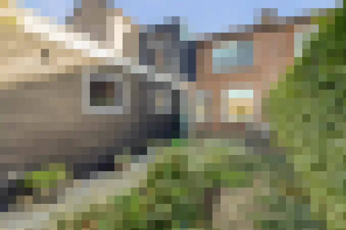 Torenstraat 67 Westkapelle thumbnail 25