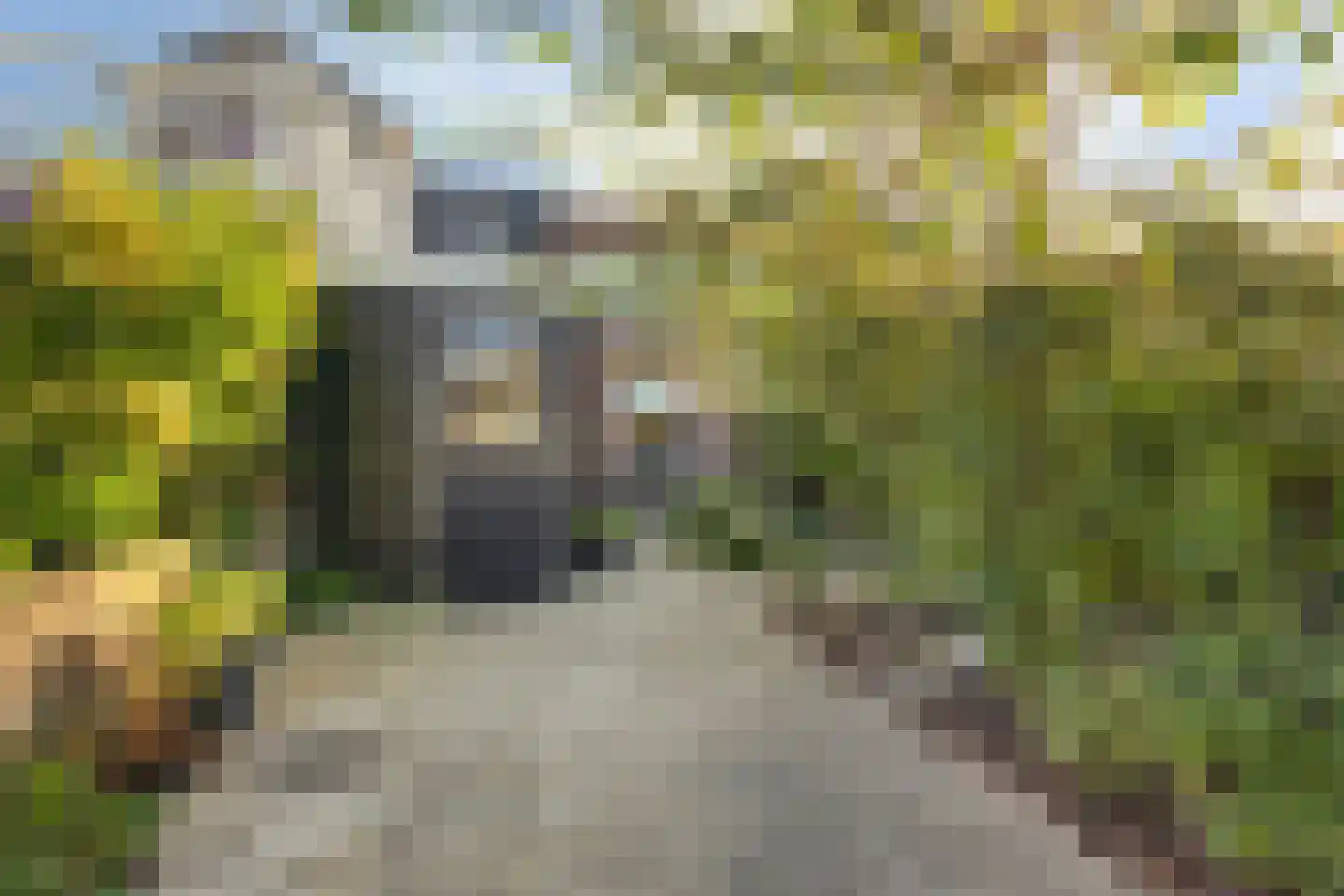 Torenstraat 67 Westkapelle thumbnail 28