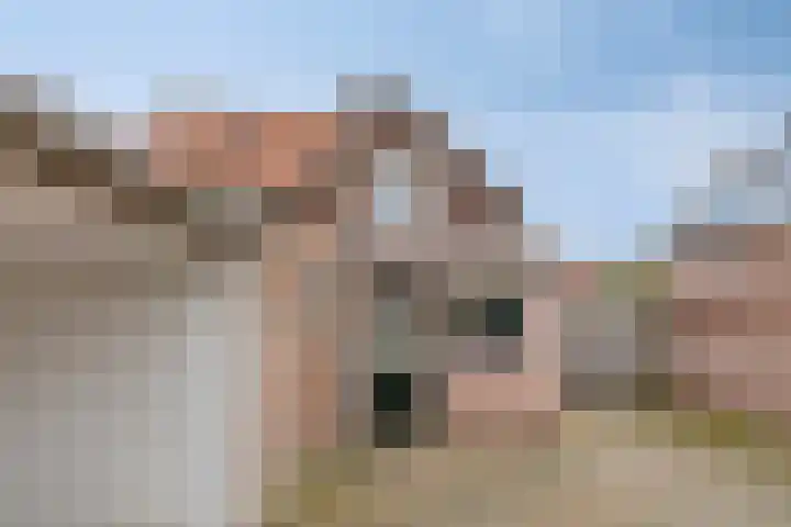Torenstraat 69 Drunen thumbnail 21