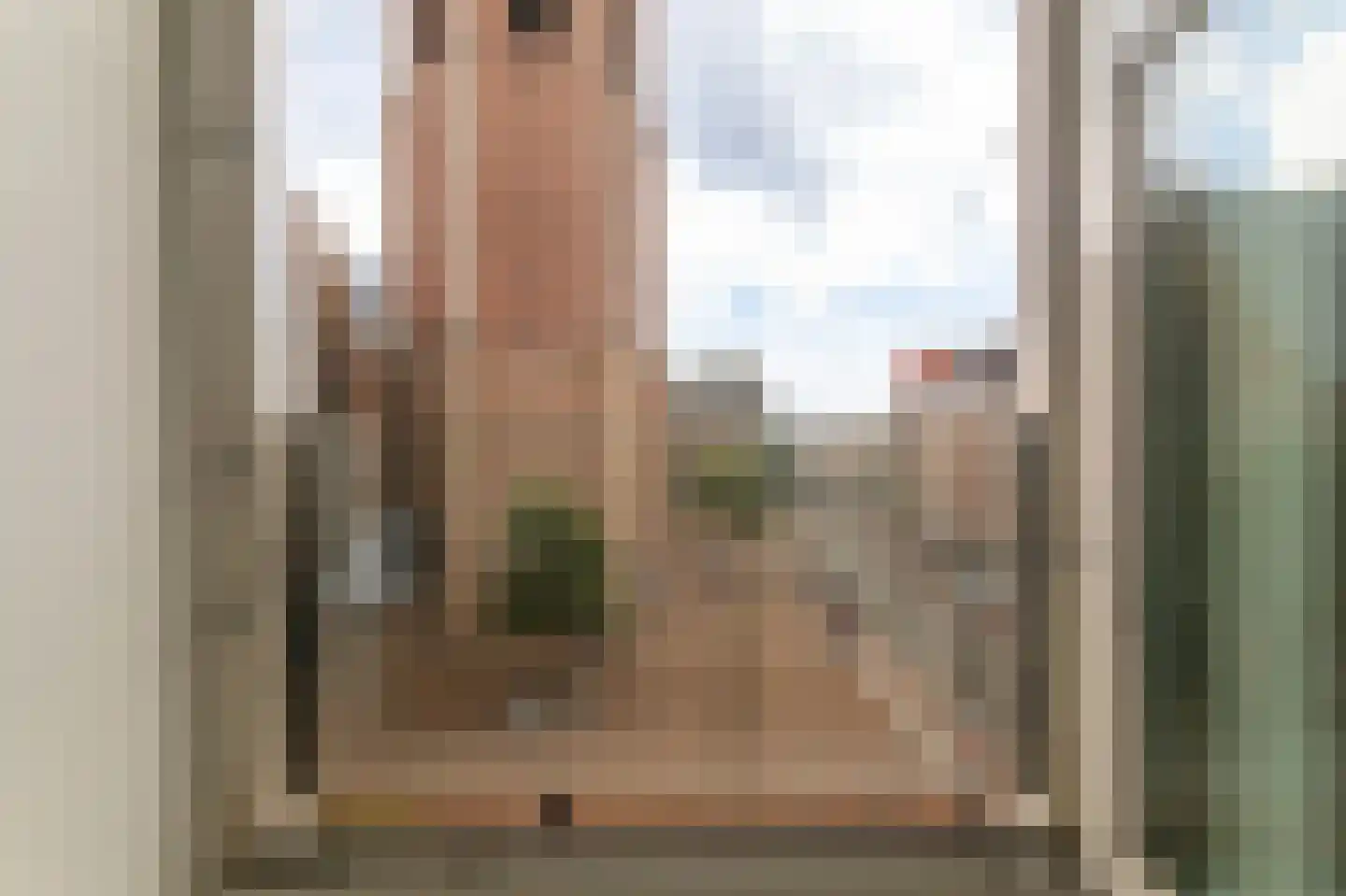 Torenstraat 7 A Den Haag thumbnail 12