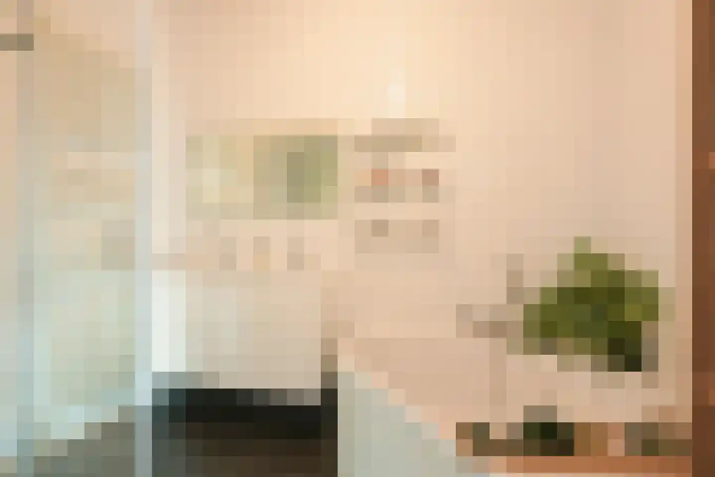 Torenstraat 7 A Den Haag thumbnail 21
