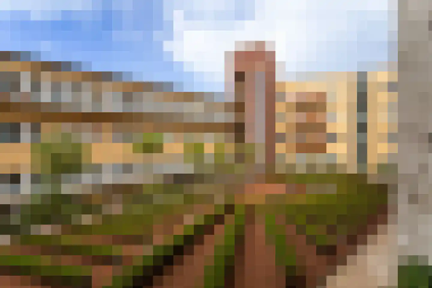 Torenstraat 7 A Den Haag thumbnail 35