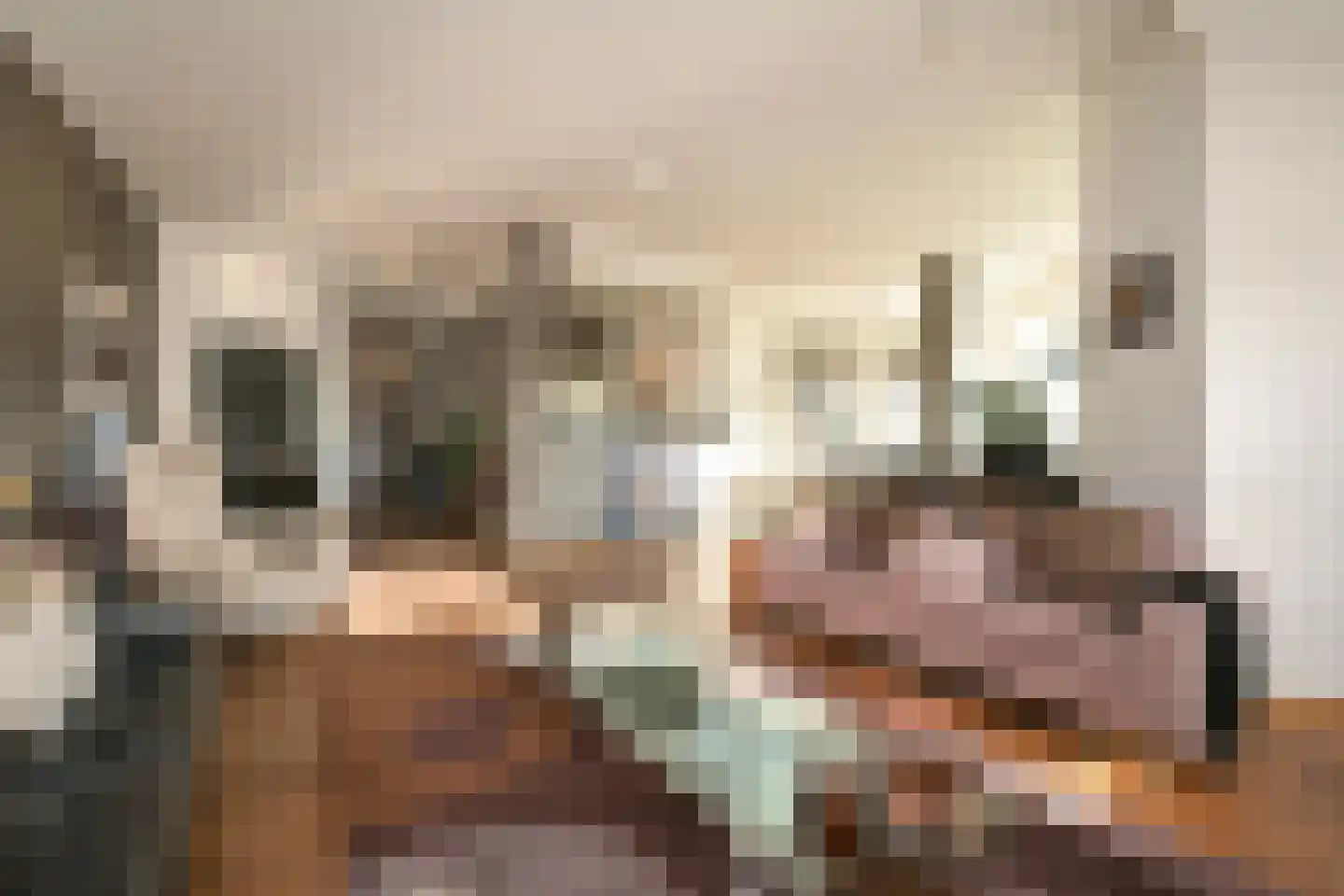 Torenstraat 7 A Den Haag thumbnail 4