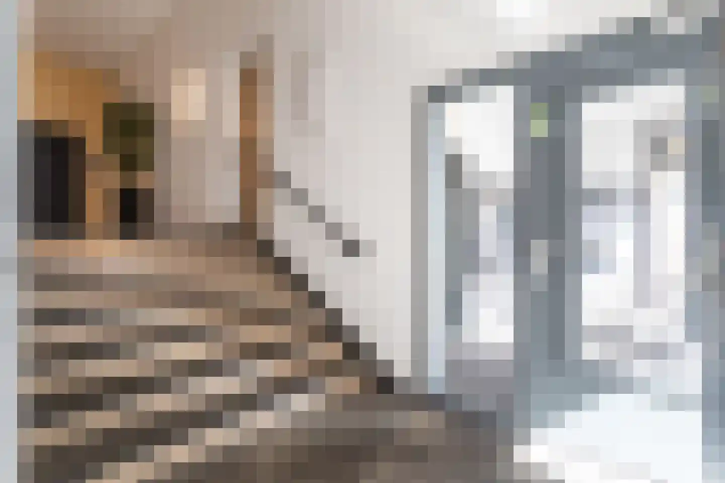 Torenstraat 7 A Den Haag thumbnail 44