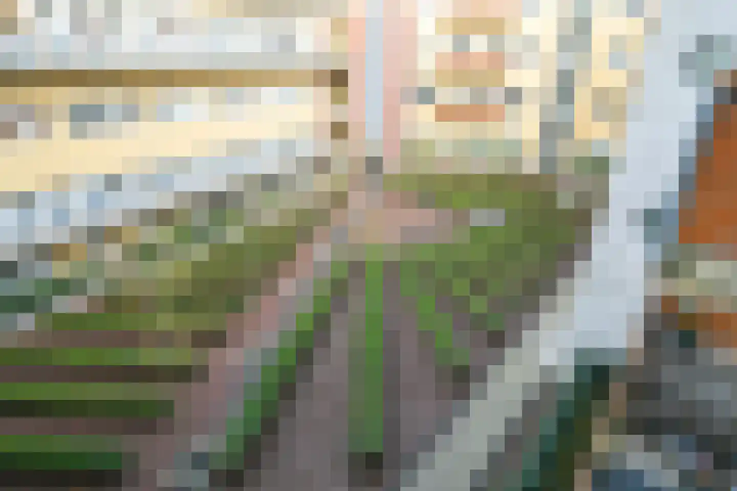 Torenstraat 7 A Den Haag thumbnail 5