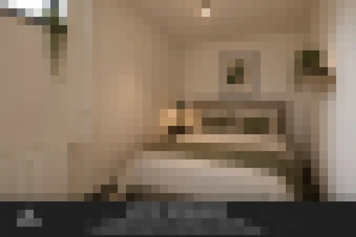 Torenstraat 7 A Oss thumbnail 13