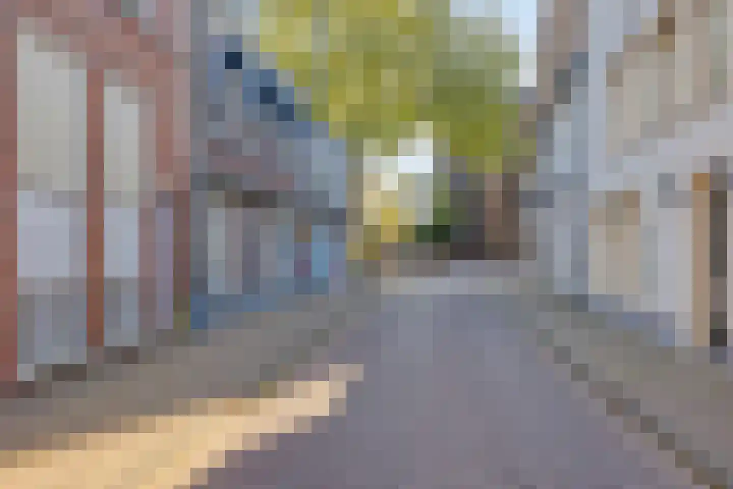 Torenstraat 7 A Oss thumbnail 24
