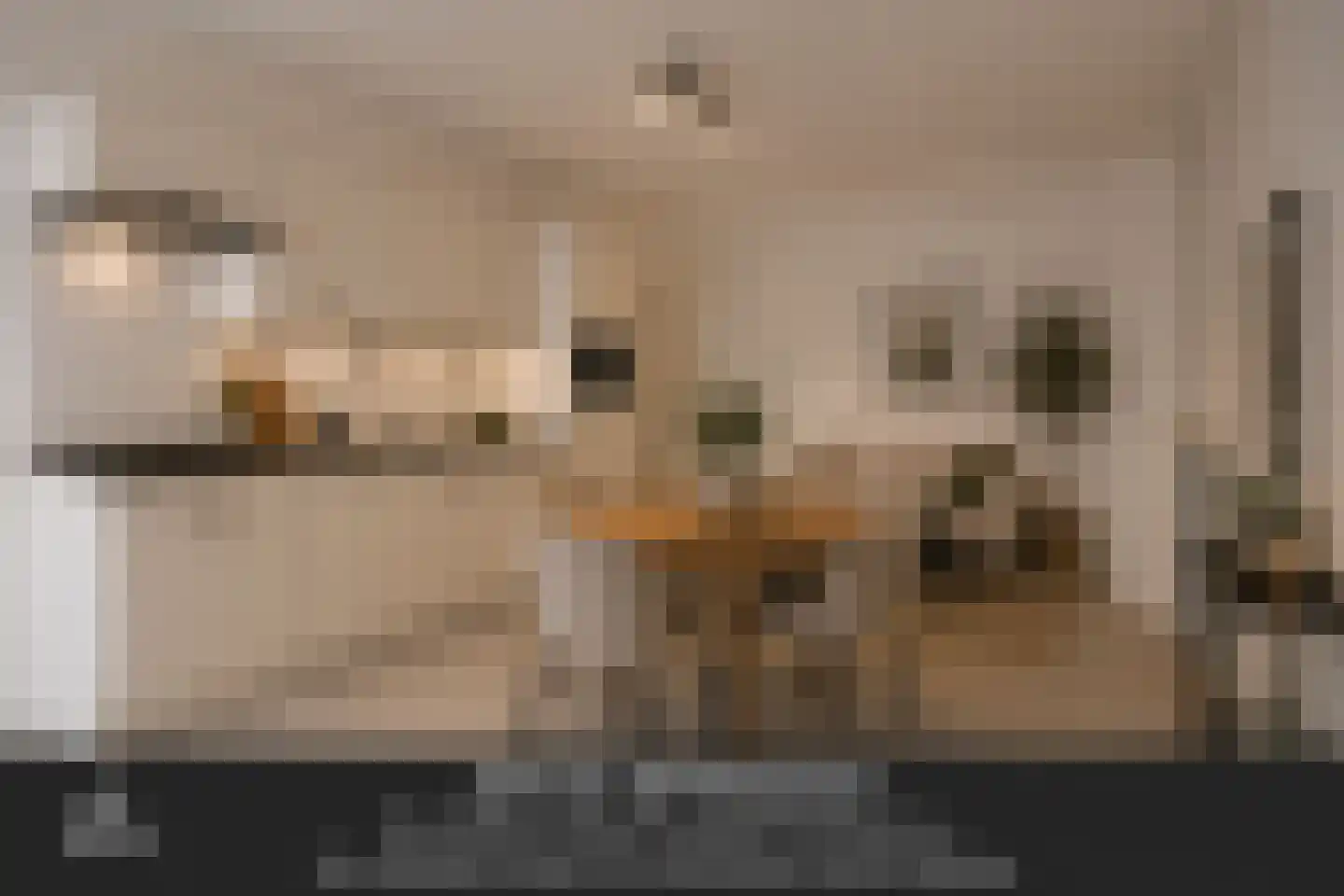Torenstraat 7 A Oss thumbnail 7