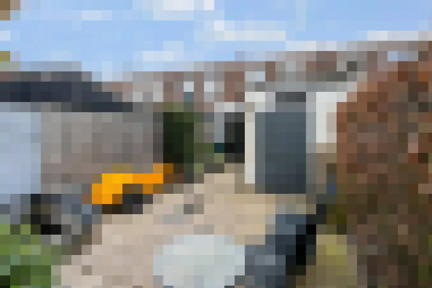 Torenstraat 7 De Bilt thumbnail 19
