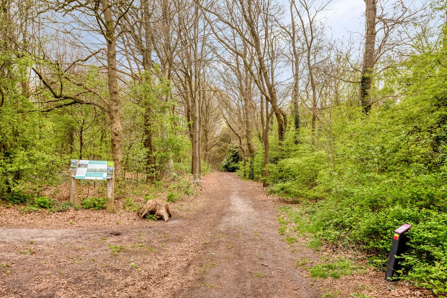 Torenstraat 7 Gassel thumbnail 46