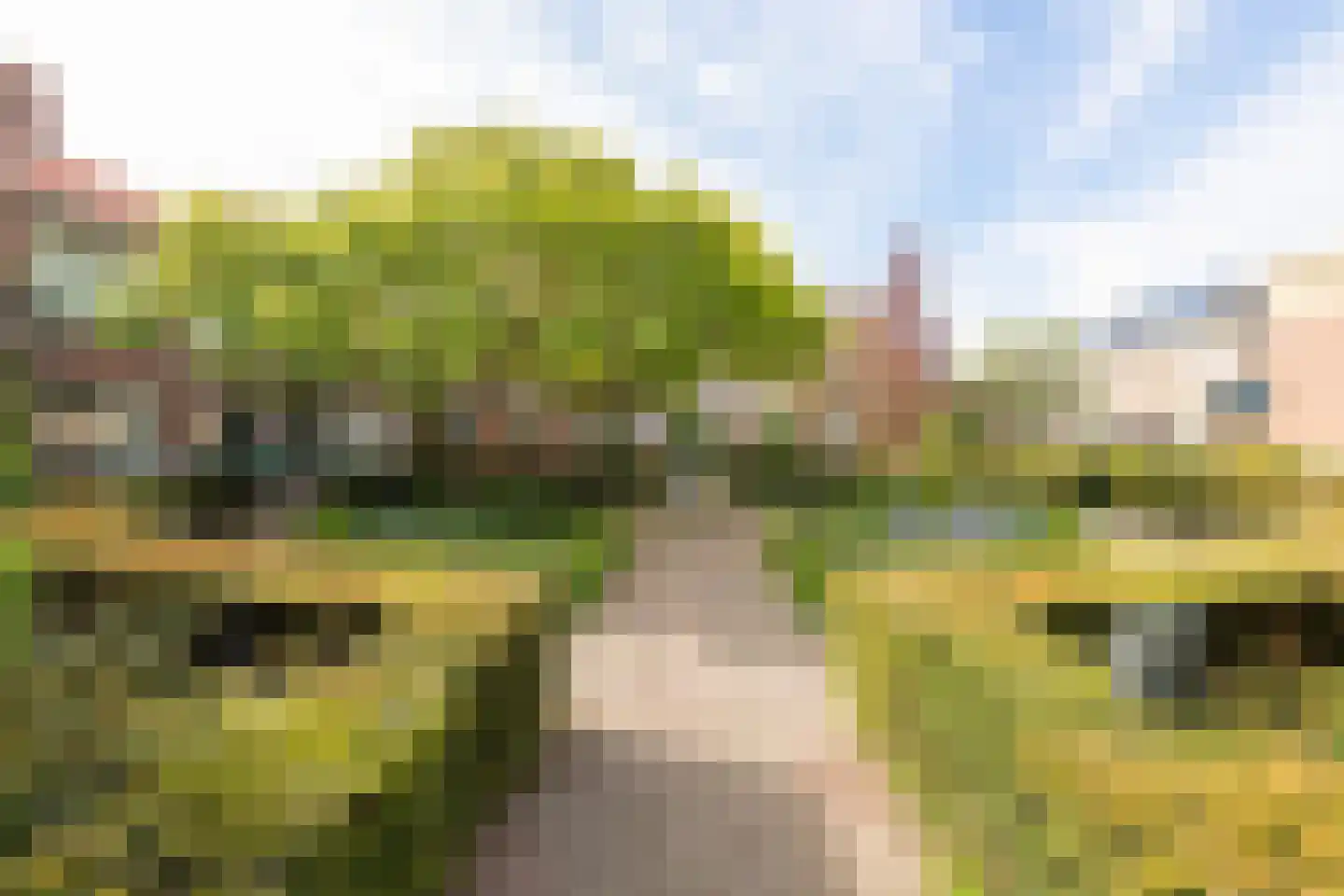 Torenstraat 7 Medemblik thumbnail 23