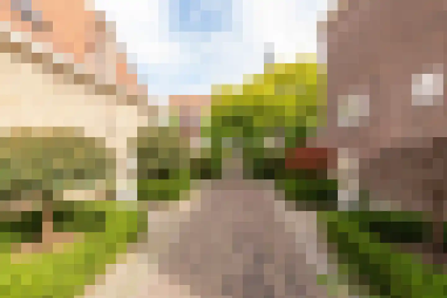 Torenstraat 7 Medemblik thumbnail 26