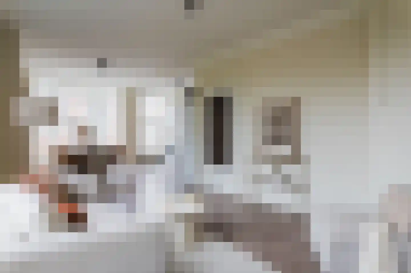 Torenstraat 71 A Den Haag foto 3