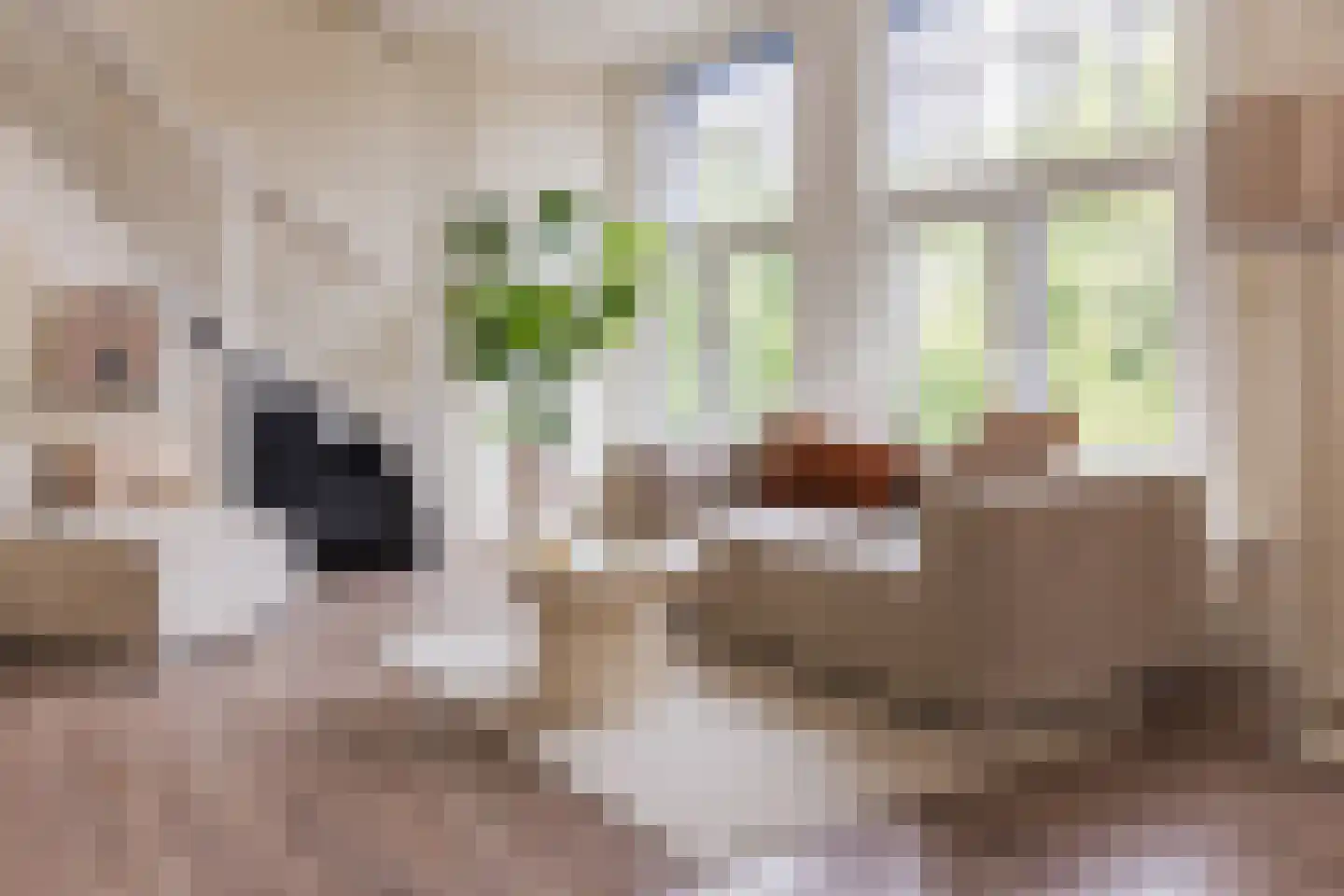 Torenstraat 71 A Den Haag thumbnail 6
