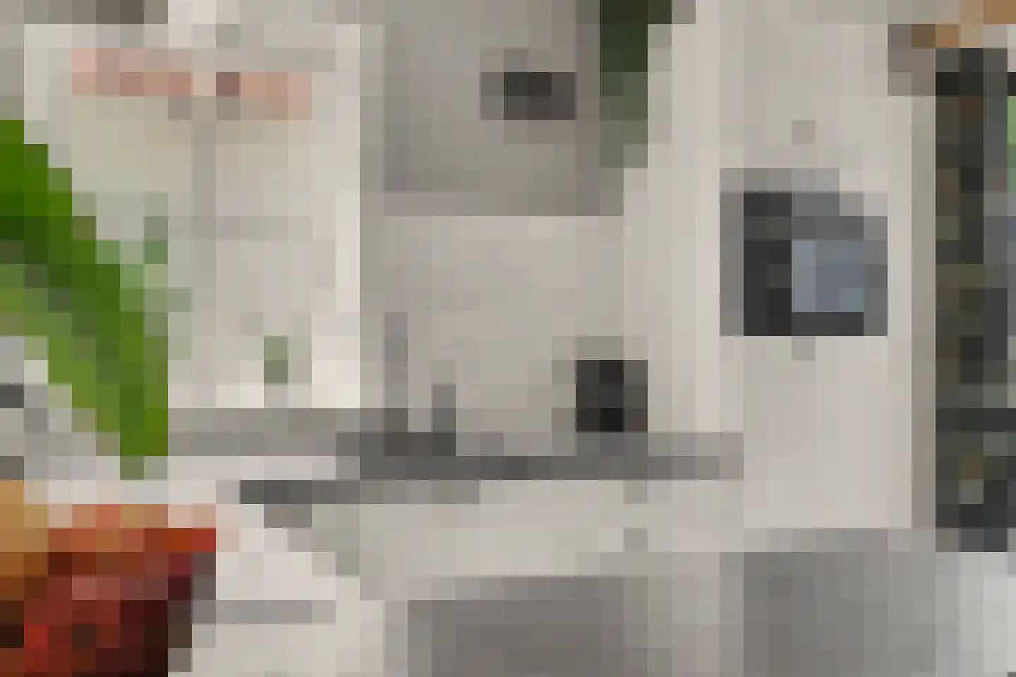 Torenstraat 71 Numansdorp thumbnail 12