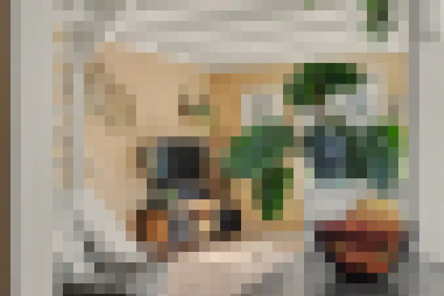 Torenstraat 71 Numansdorp thumbnail 15