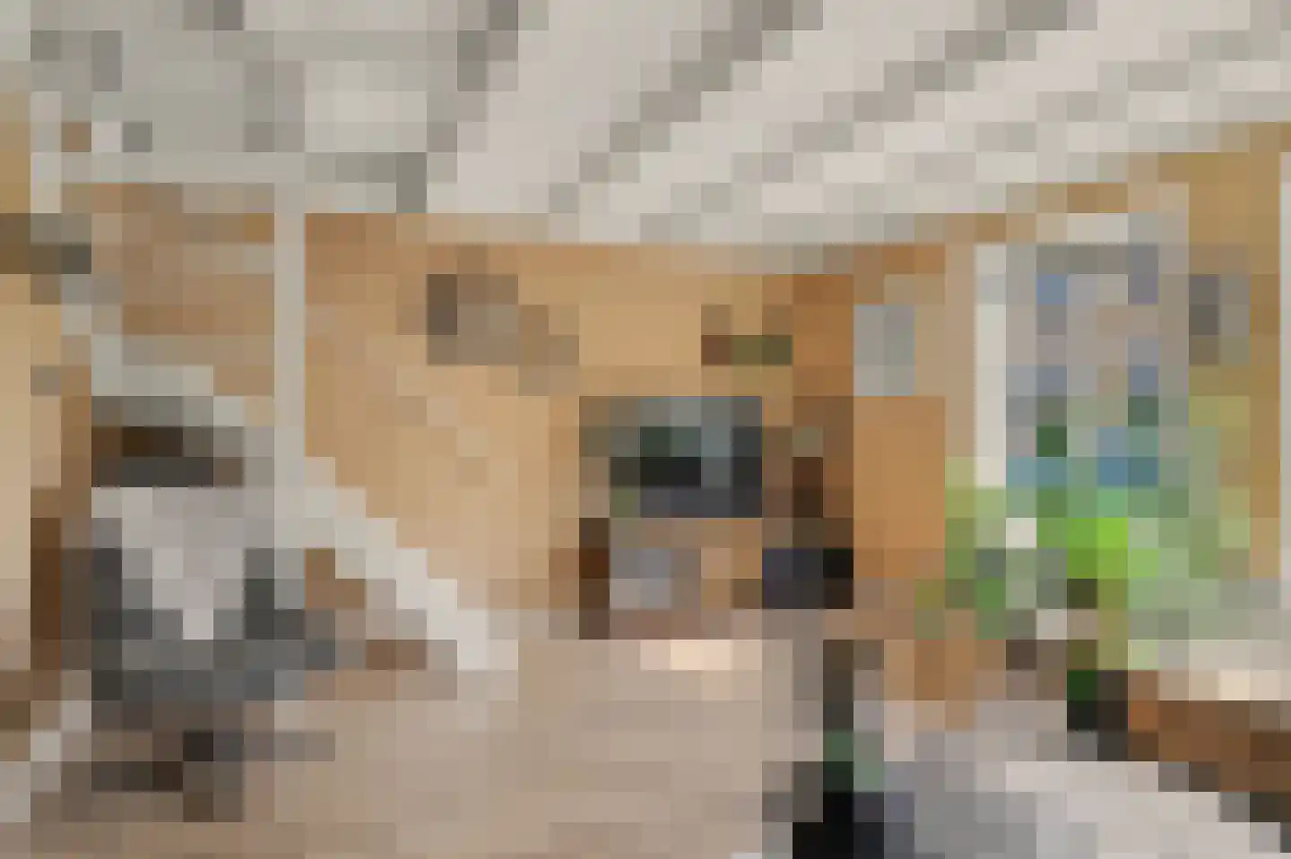 Torenstraat 71 Numansdorp thumbnail 17