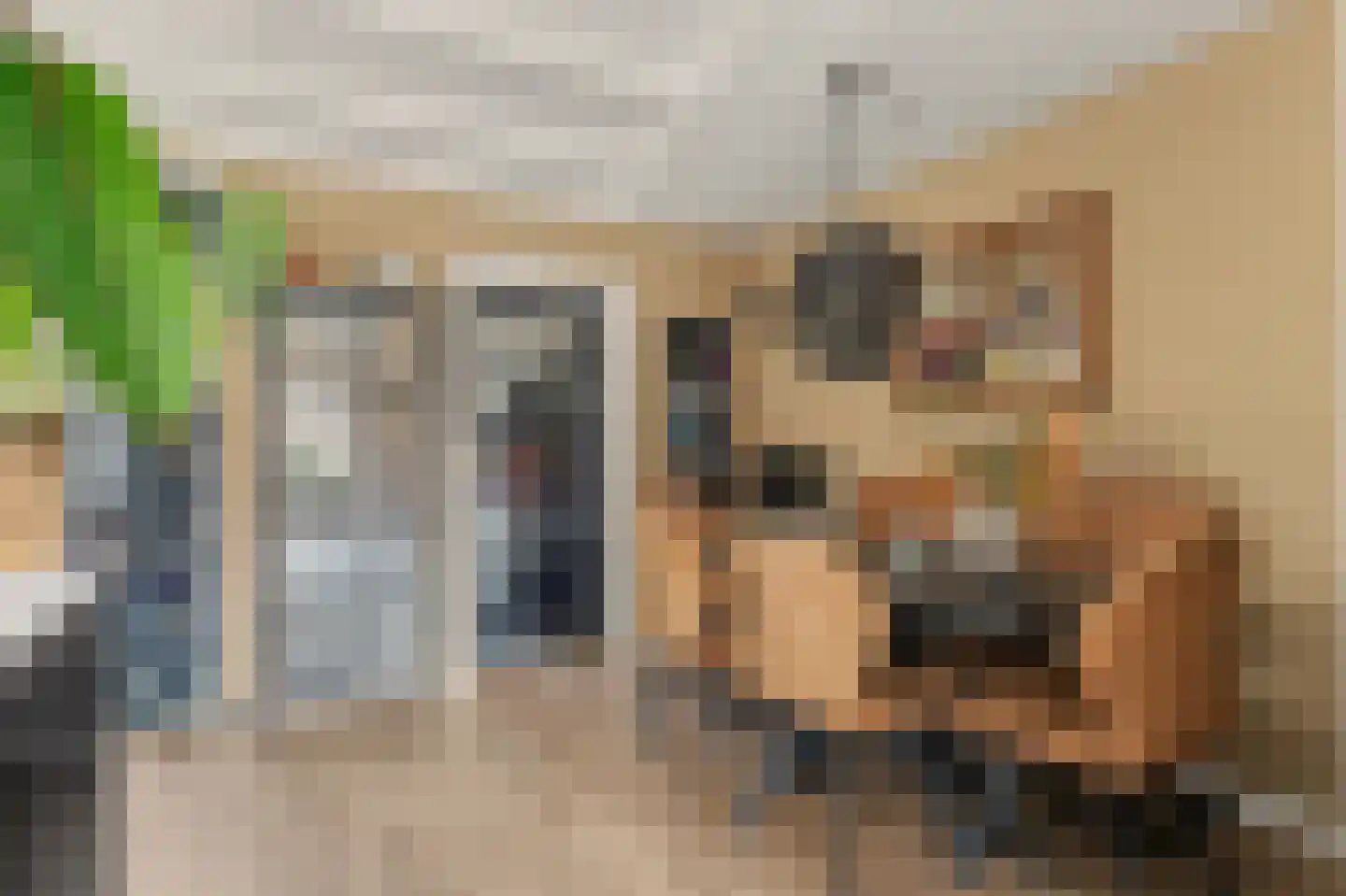 Torenstraat 71 Numansdorp thumbnail 23