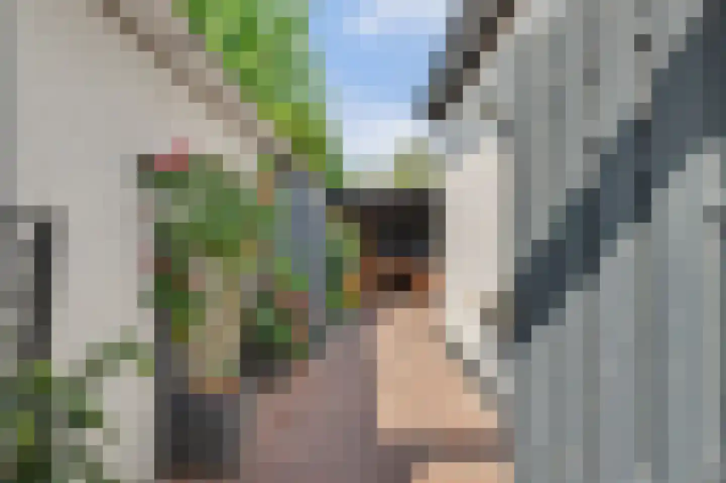 Torenstraat 71 Numansdorp thumbnail 7