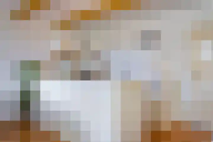 Torenstraat 8 Ezinge thumbnail 17