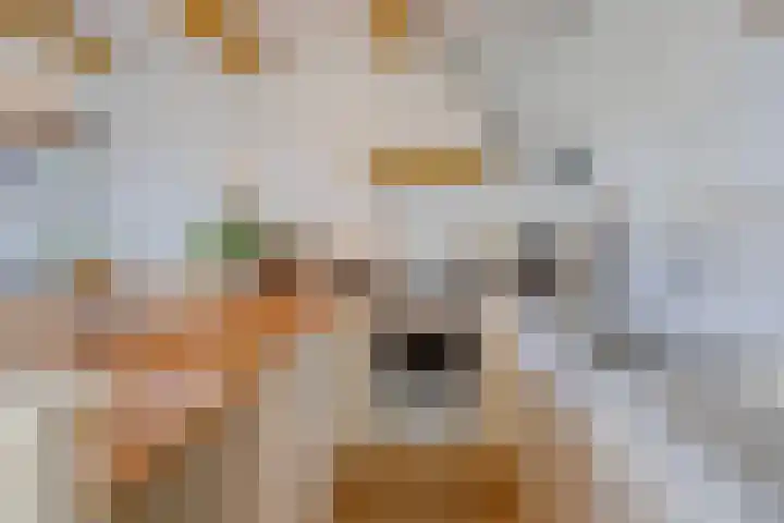 Torenstraat 8 Ezinge thumbnail 19