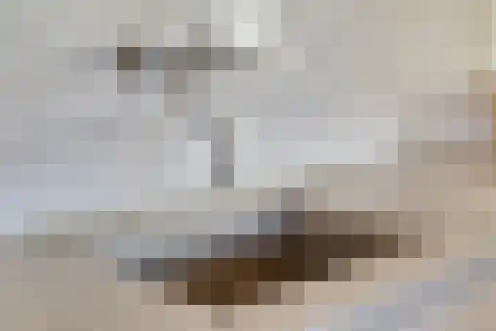 Torenstraat 8 Ezinge thumbnail 20